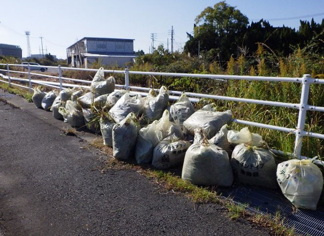 清掃活動の様子3